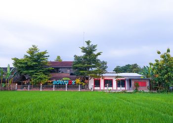 19 Tahun Ademos Indonesia: Menjaga Api Sinau Bareng untuk Transformasi Berkelanjutan