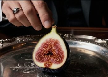 Di Antara Piring dan Kekuasaan