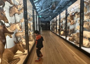 Delapan Museum London: Peradaban, Sains, dan Imajinasi Kota Dunia