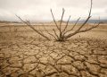 El Nino Diprediksi Menguat, Apa Dampak bagi Pulau Jawa?