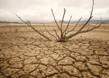 El Nino Diprediksi Menguat, Apa Dampak bagi Pulau Jawa?