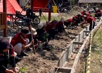 KKN Unigoro dan Pokdarwis Hijaukan Geosite Kedung Lantung Lewat Program Konservasi Tanaman