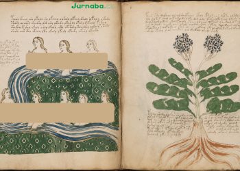 Voynich Manuscript di Era Kecerdasan Buatan: Ketika Mesin Ikut Membaca, tetapi Misteri Tetap Bertahan (Bagian IV)
