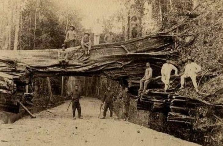 Ruang Ambang: Alasan Mengapa Batas Desa, Jembatan, dan Persimpangan Jalan Diangkerkan