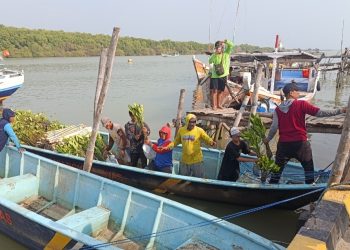 Tanam 12.500 Mangrove, EMCL dan LIMA2B Perkuat Pesisir Lamongan