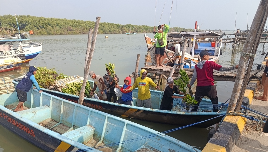 Tanam 12.500 Pohon Mangrove, EMCL dan LIMA2B Perkuat Pesisir Lamongan