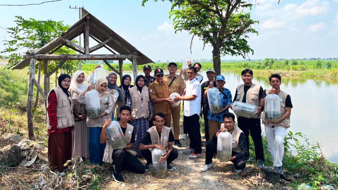 Mahasiswa KKN STIT Muhammadiyah Bojonegoro Tebar 10 Ribu Benih Ikan Demi Jaga Ekosistem dan Potensi Perikanan