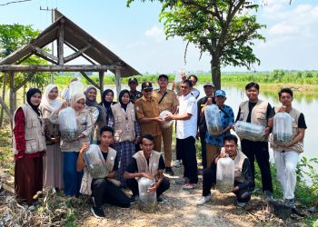 Mahasiswa KKN STIT Muhammadiyah Bojonegoro Tebar 10 Ribu Benih Ikan Demi Jaga Ekosistem dan Potensi Perikanan