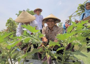 Peringatan Hari Tani, Bupati Bojonegoro Ingin Wujudkan Lumbung Pangan