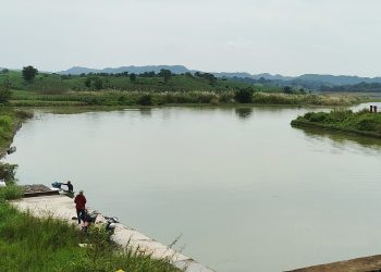 Bahaya Laten Hobi Mancing Mengintai Isi Kulkas Rumah Tangga